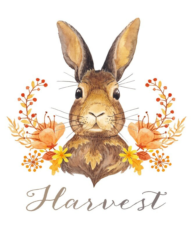 Woodland Watercolors: &quot;Harvest&quot; Rabbit Fall Printable