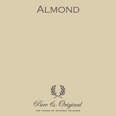 Almond Lacquer