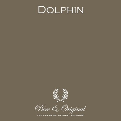 Dolphin Classico