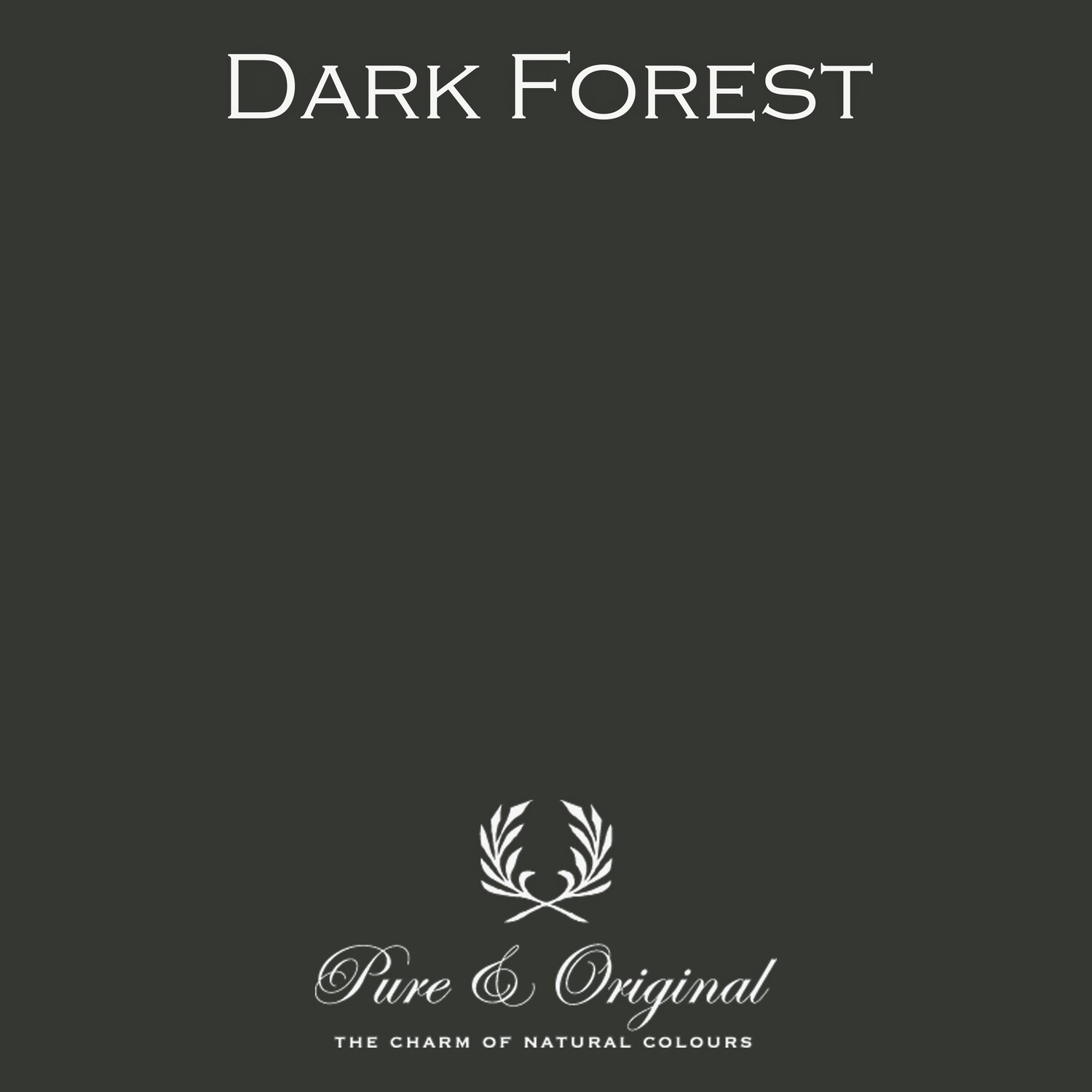 Dark Forest Licetto