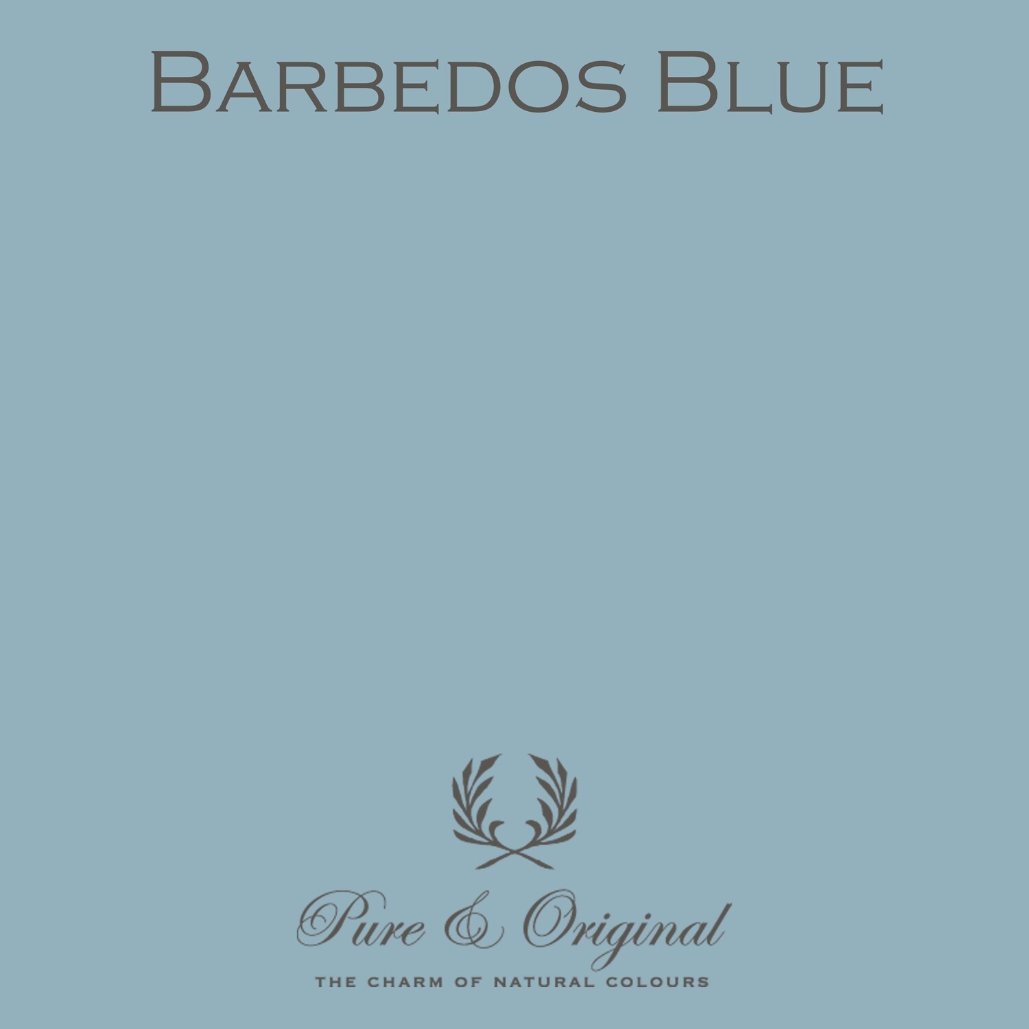 Barbedos Blue Licetto