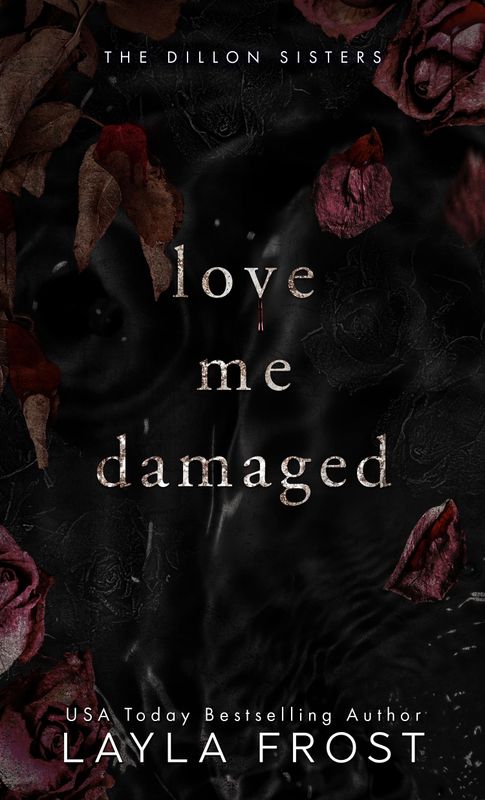 Love Me Damaged Paperback
