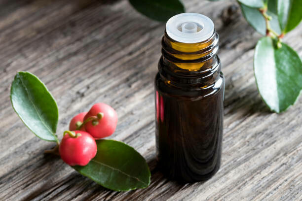 Wintergreen Essential Oil 15ml