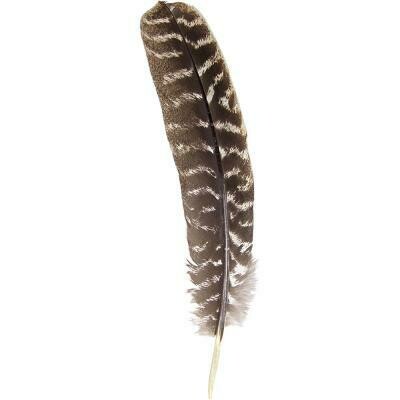 Smudging Feather  (8" to 14" Length)