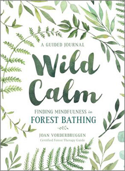 Wild Calm:  Finding Mindfulness in Forest Bathing