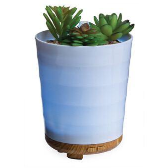 Airome Succulent Diffuser