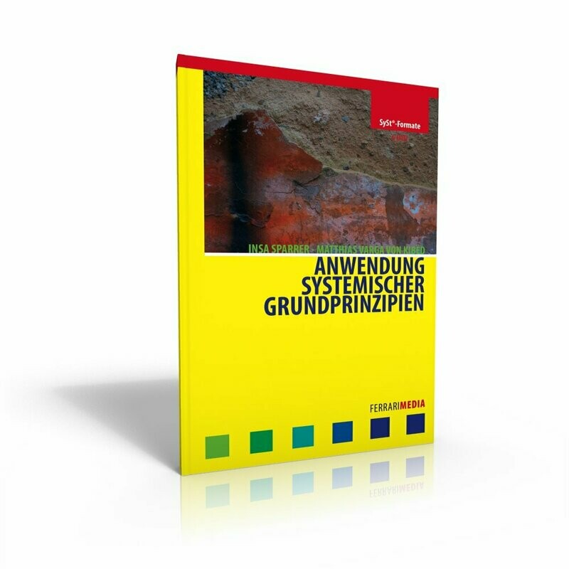 Anwendung systemischer Grundprinzipien Anwendung systemischer Grundprinzipien