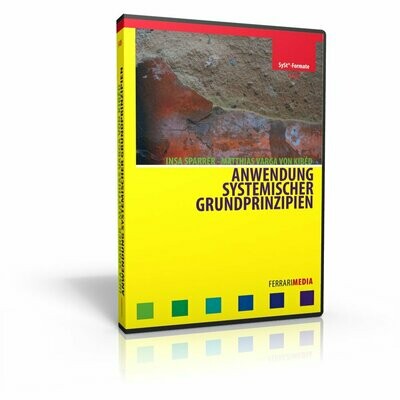 Anwendung systemischer Grundprinzipien Anwendung systemischer Grundprinzipien