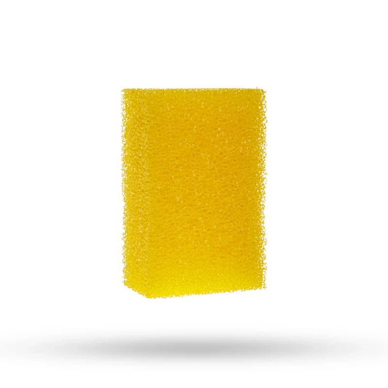 Fliegenschwamm hart, gelb Fliegenschwamm hart, gelb