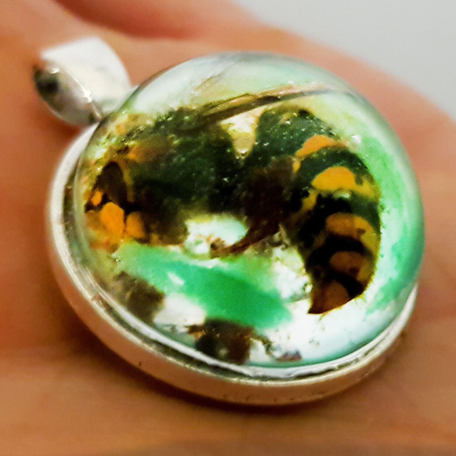 Wasp