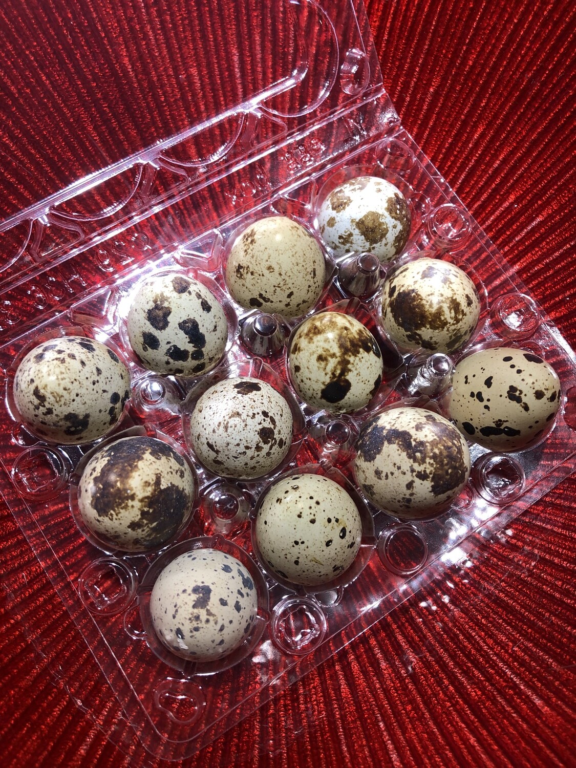 2 dozen  Quail eggs
