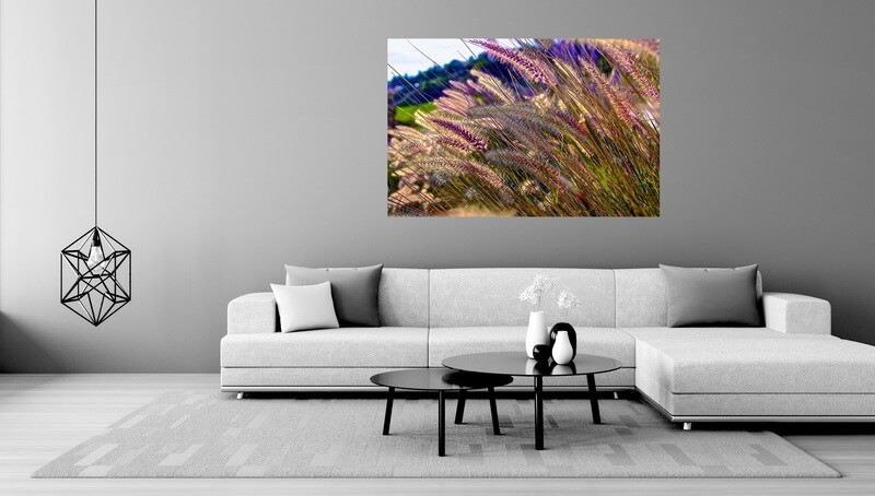MALIBU MEADOWS(49&quot;x33&quot;)