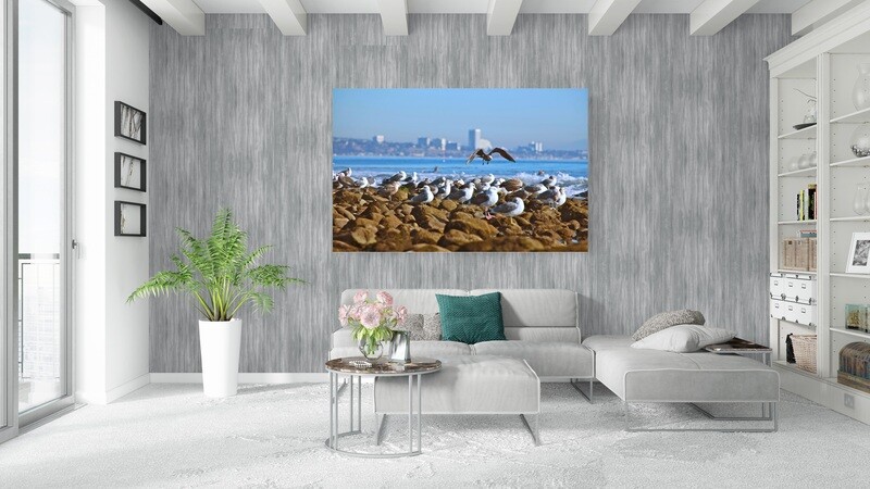 MALIBU OCEAN BIRDS (49&quot;x33&quot;)