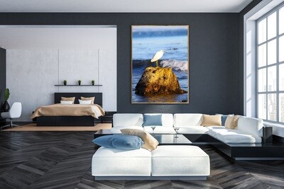 SNOWY MALIBU EGRET (24&quot; X 36&quot;)