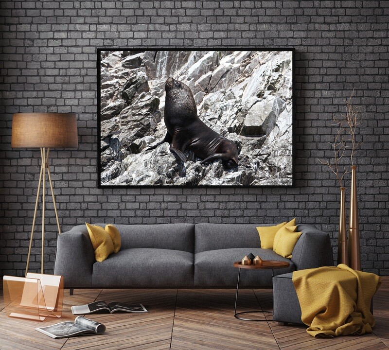 LOVE SEAL (49&quot; X 33&quot;)