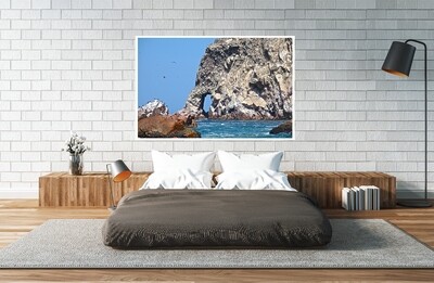 ELEPHANT COVE (49&quot;x33&quot;)