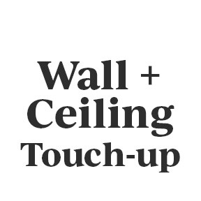 Wall + Ceiling Touch-up Kit Wall + Ceiling Touch-up Kit
