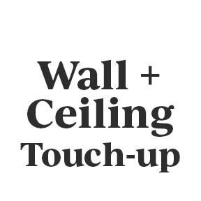 Wall + Ceiling Touch-up Kit