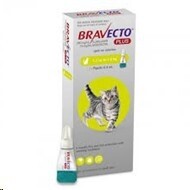 Bravecto Plus Small Cat 1.2-2.8kg