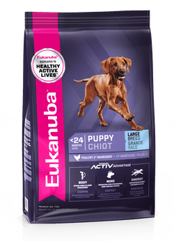 Eukanuba Large Breed Puppy