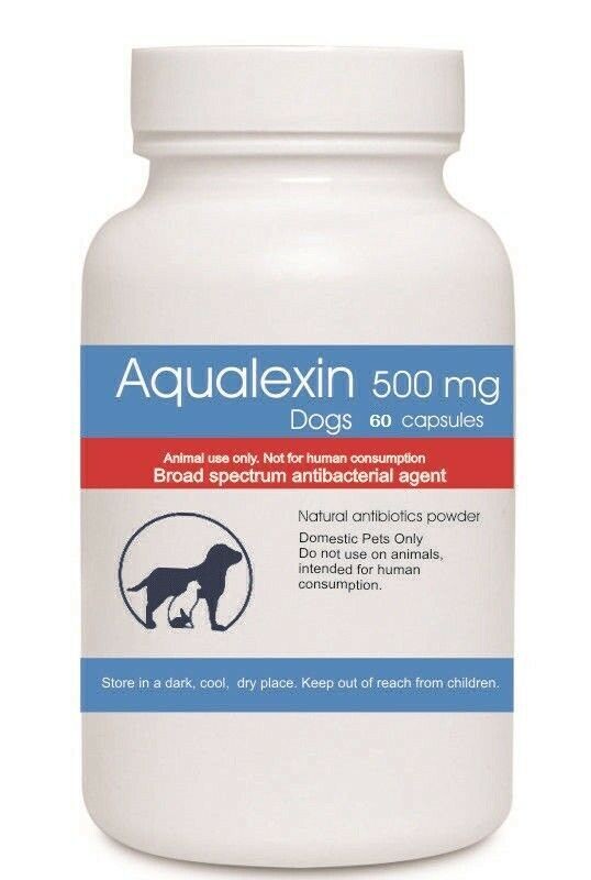 Sempervivum Aqualexin Dogs 60, natural pet antibiotic alternative