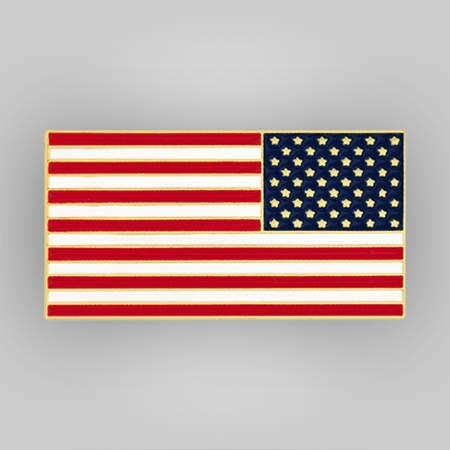 Stars Forward American Flag Pin