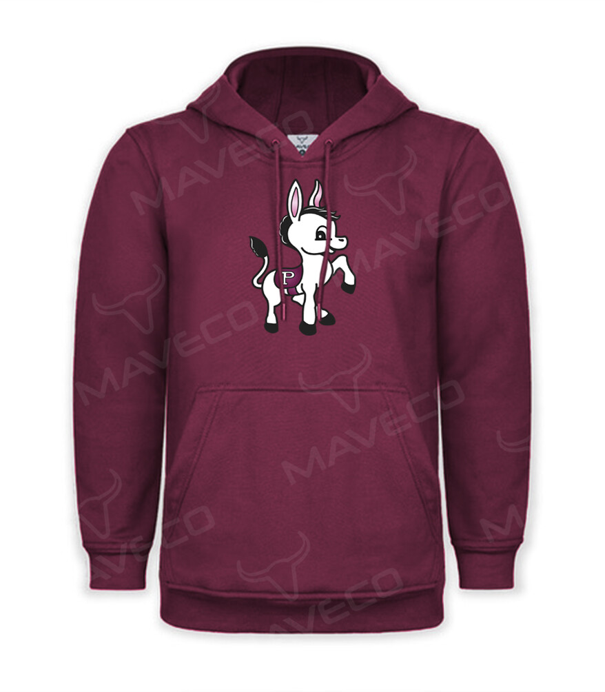 HOODIE INSTITUCIONAL IPN