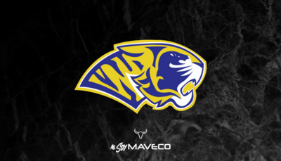 AUTENTICOS TIGRES