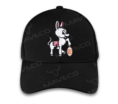 GORRA IPN BURRITA VINTAGE