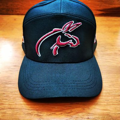 GORRA IPN BURROS BLANCOS 3D IPN FOOTBALL