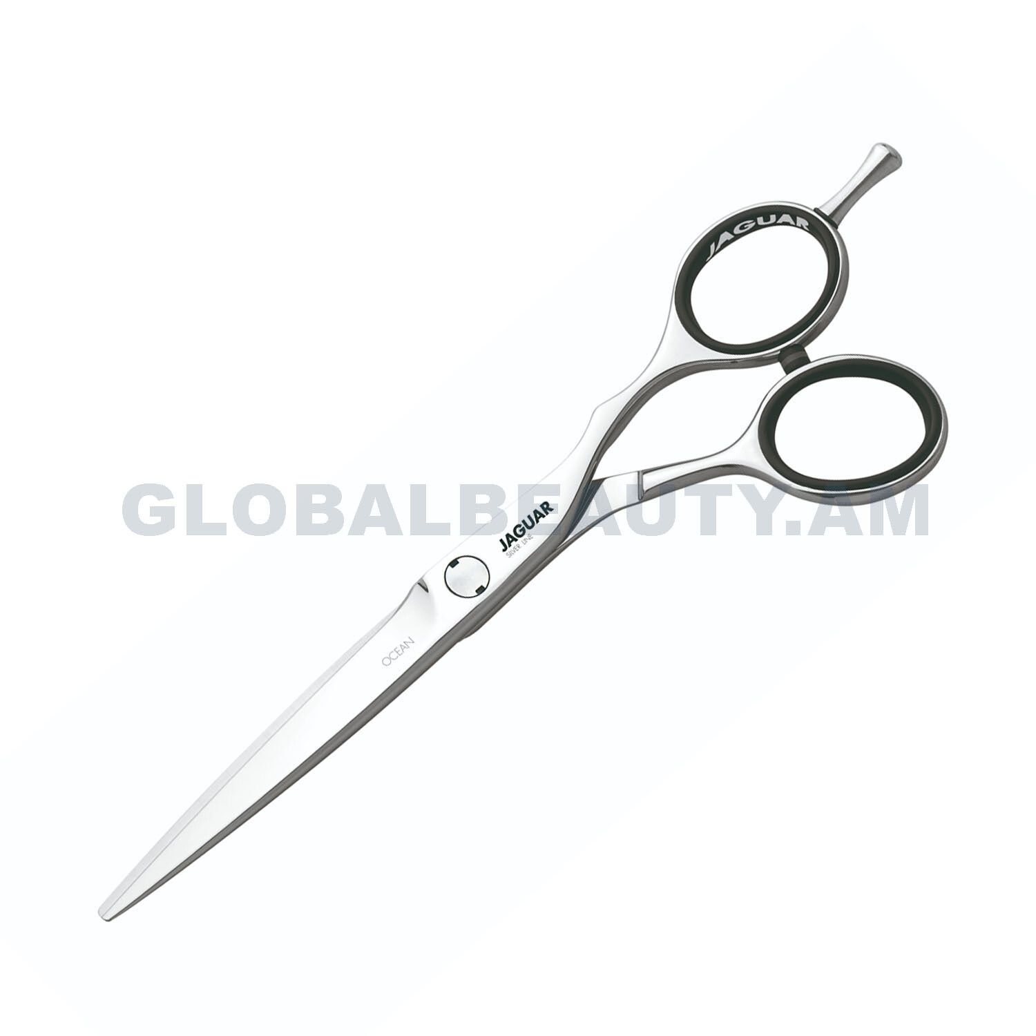 E-commerce Product Image