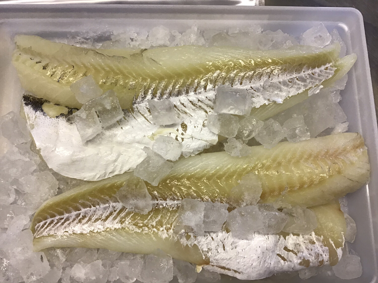 1 lb of Haddock