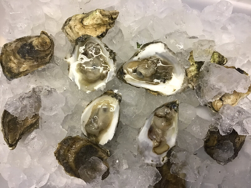 Oysters By The Dozen