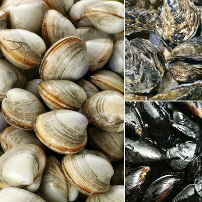 Shellfish