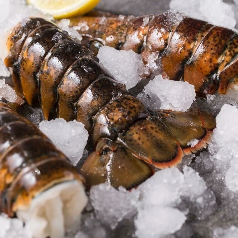 Maine Lobster Tails (1 lb or 4 tails)