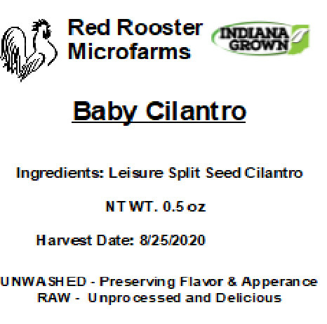 Baby Cilantro