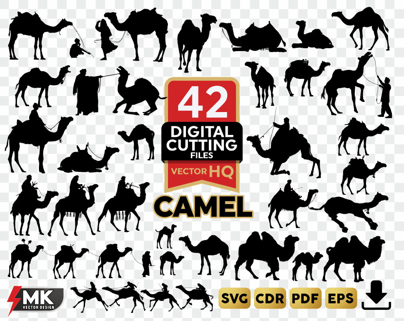 CAMEL SVG, Silhouette clipart, CDR, PDF, EPS, Vector