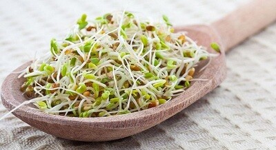 Злаки для пророщування