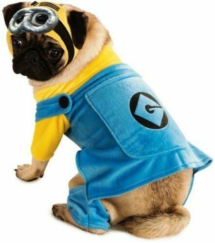 Dog&#39;s waterproof wool vest