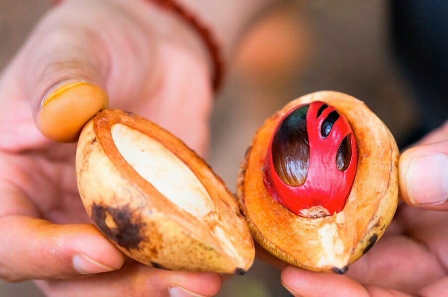 Nutmeg Ceylon Organic
