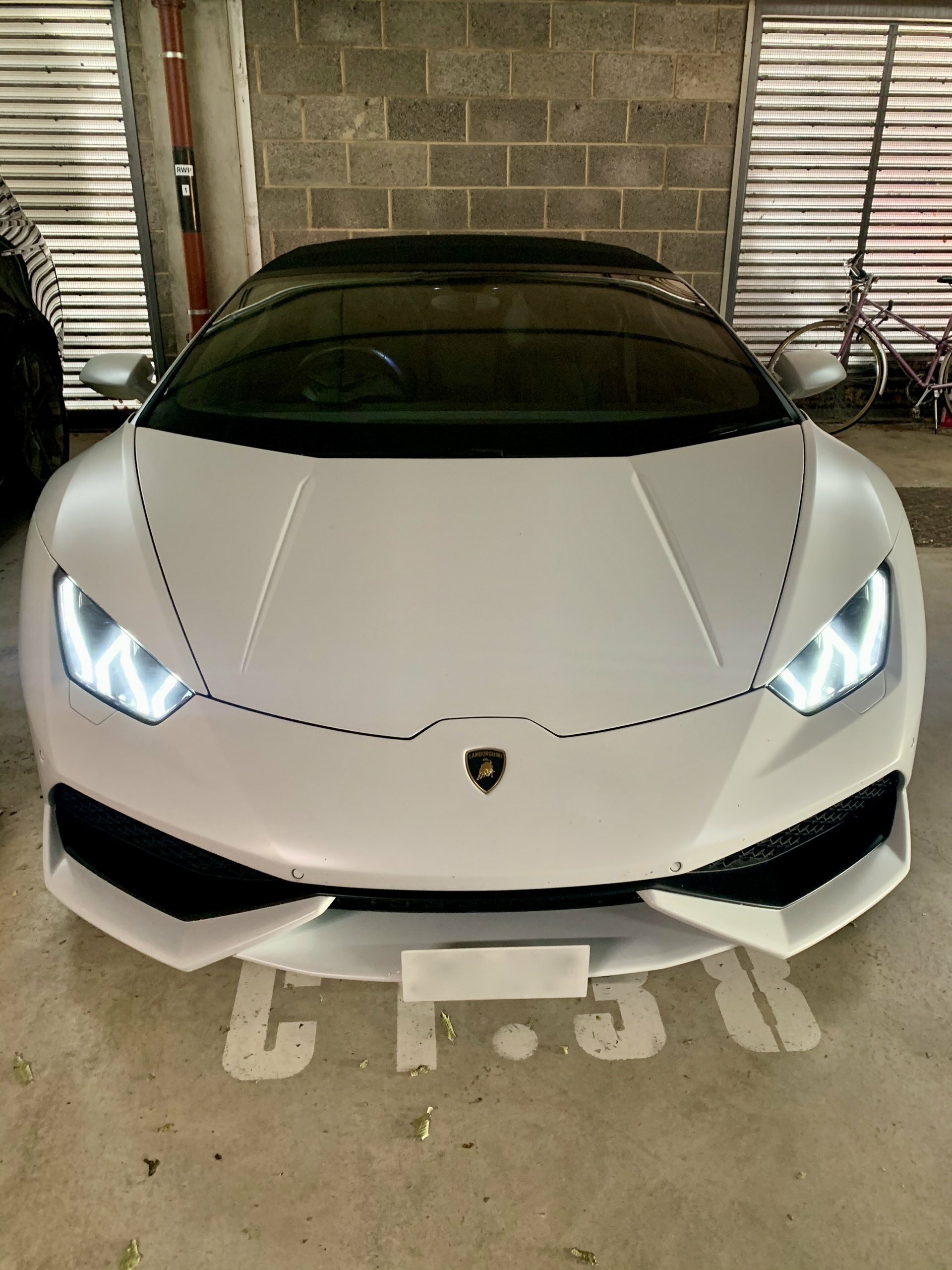 Huracan license mount