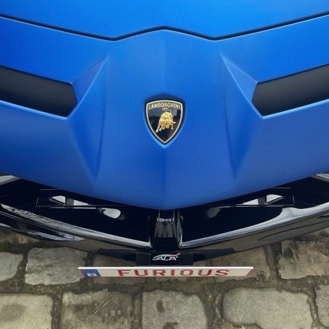 Lamborghini license mount