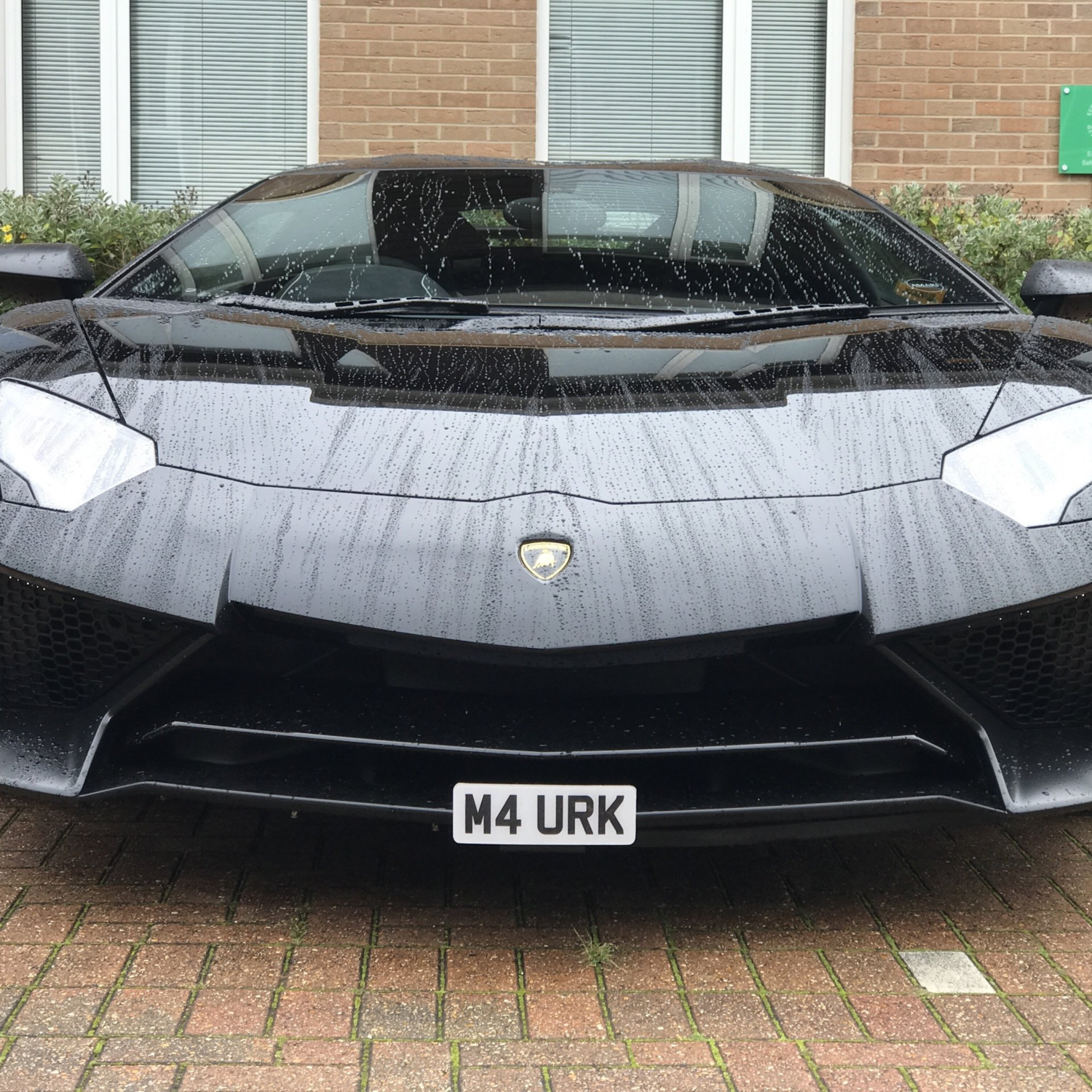 Aventador LP750 SV front registration plate mount