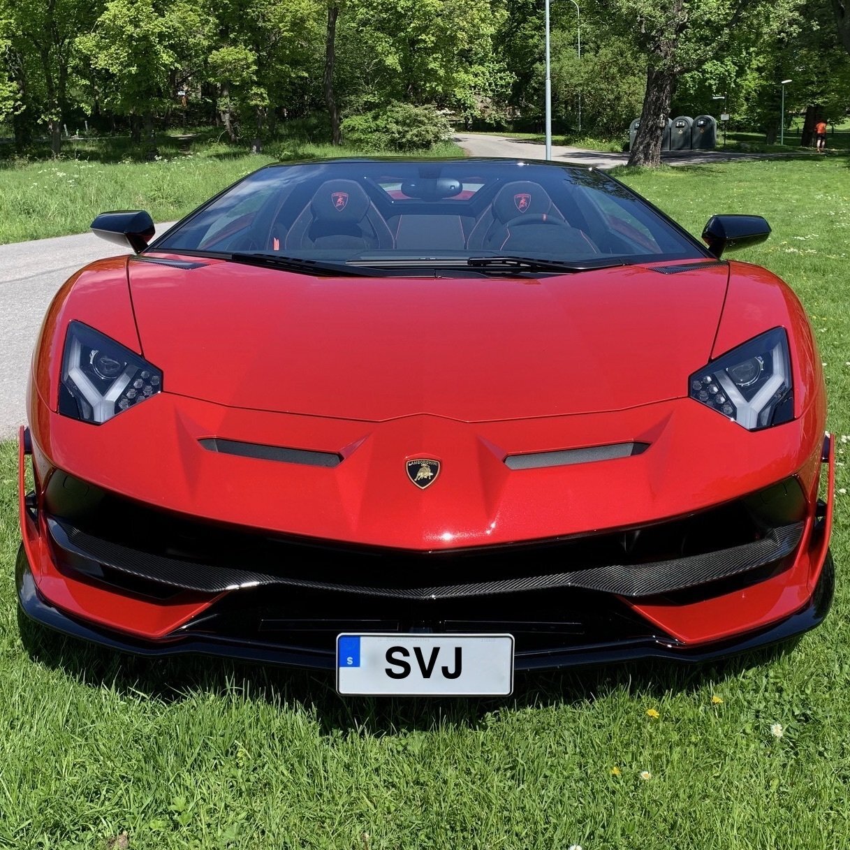 Lamborghini front license bracket