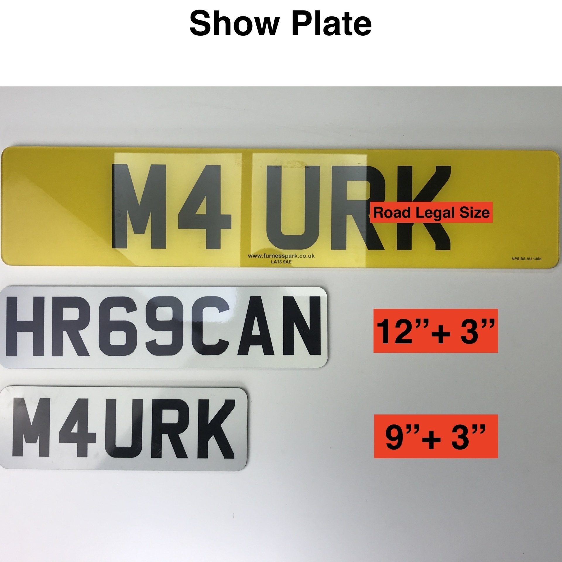 Show plate 12