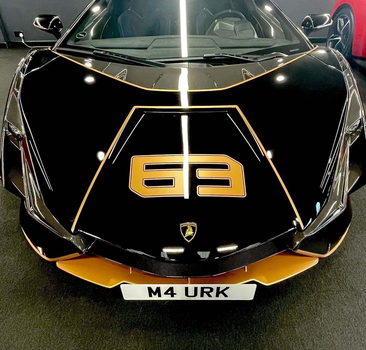 Lamborghini Sian detachable front license plate clamp