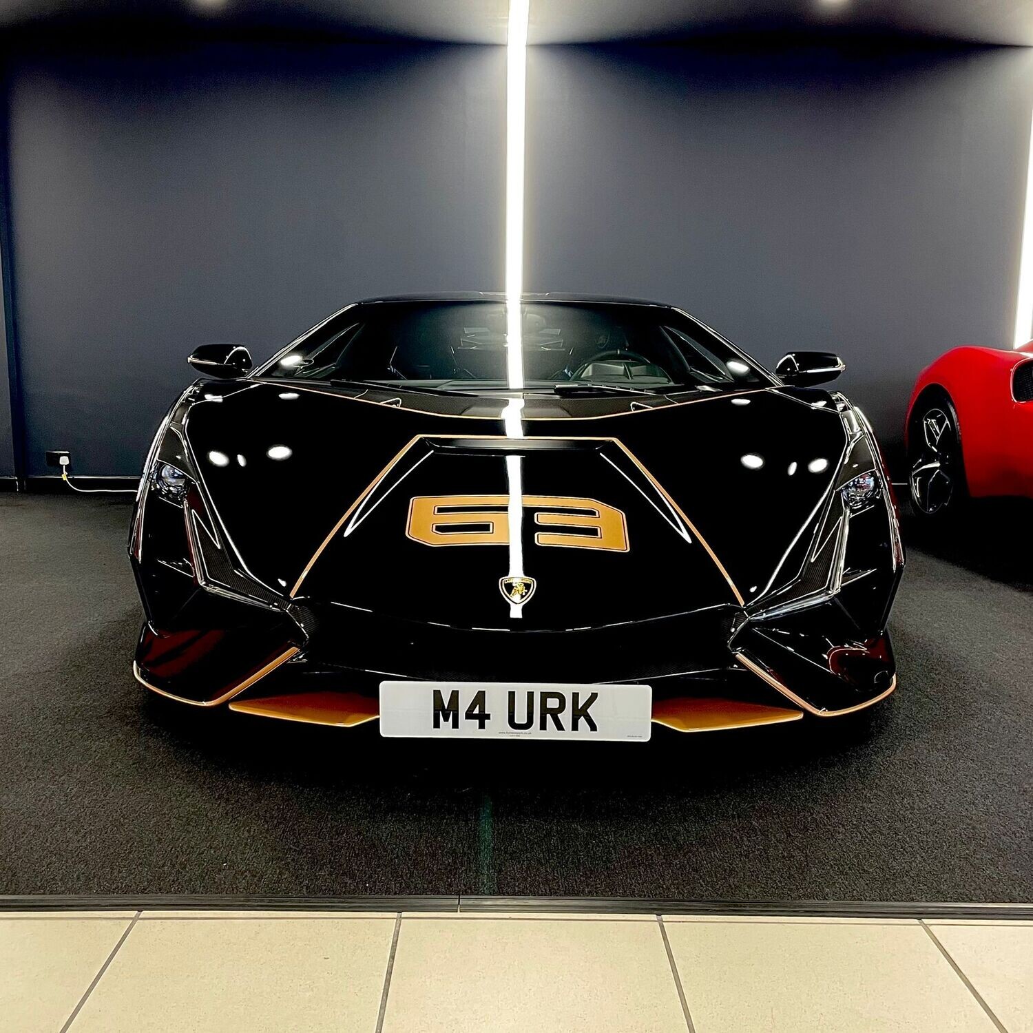 Lamborghini Sian detachable front license plate support