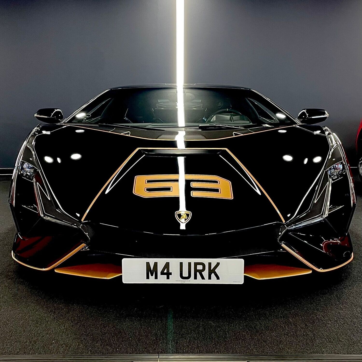 Lamborghini Sian quick release front license plate frame