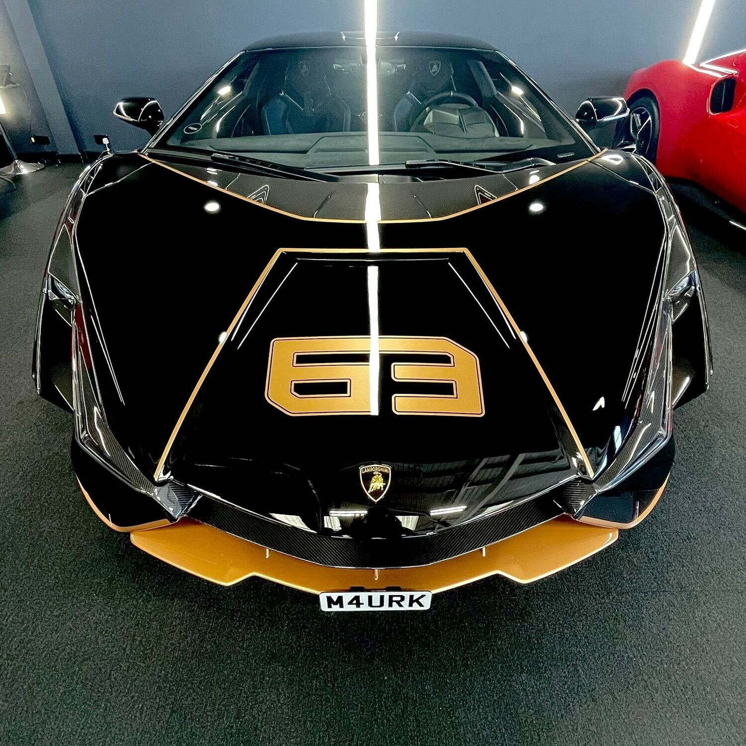 Lamborghini Sian quick release front license plate support