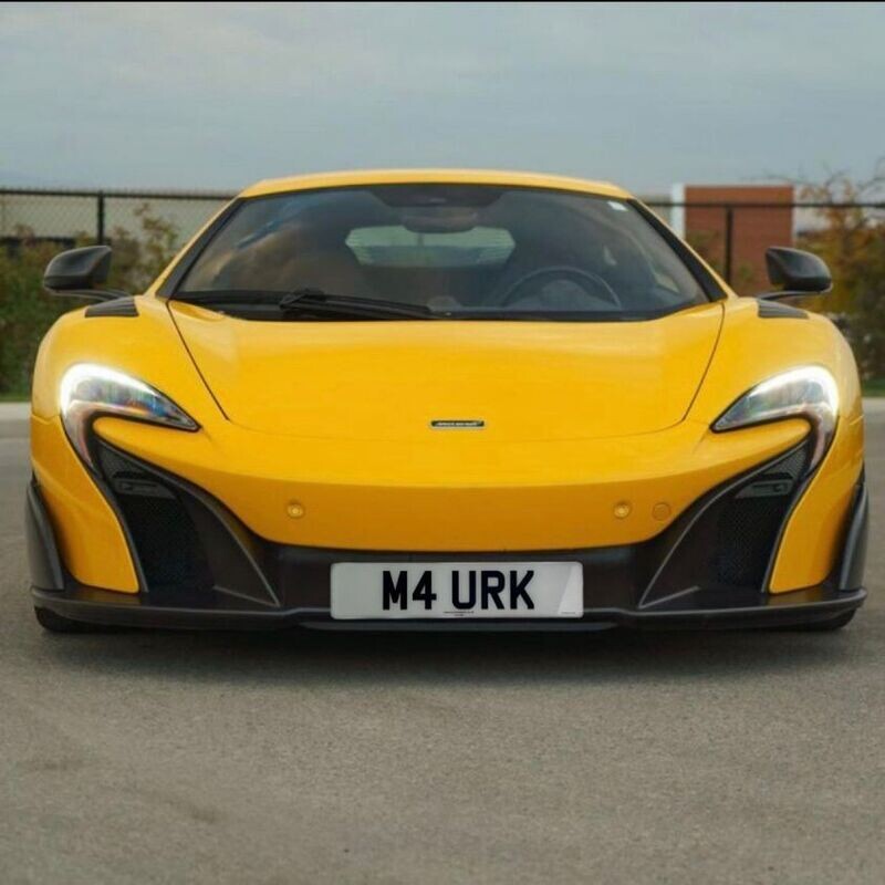 McLaren 675lt front license mount